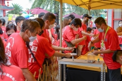 NEF_4071